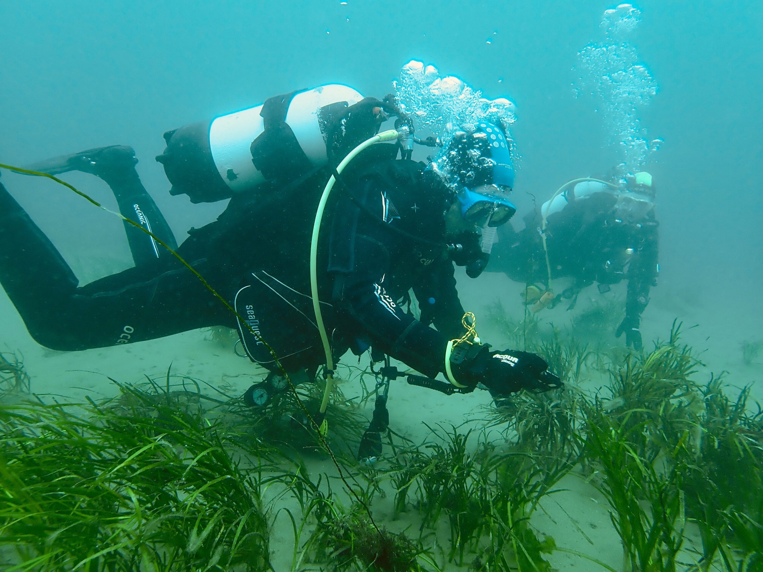 Record your underwater observations!