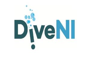 The Dive NI Logo on a white background