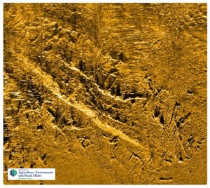 S.V. Nimble ‘The Pins’