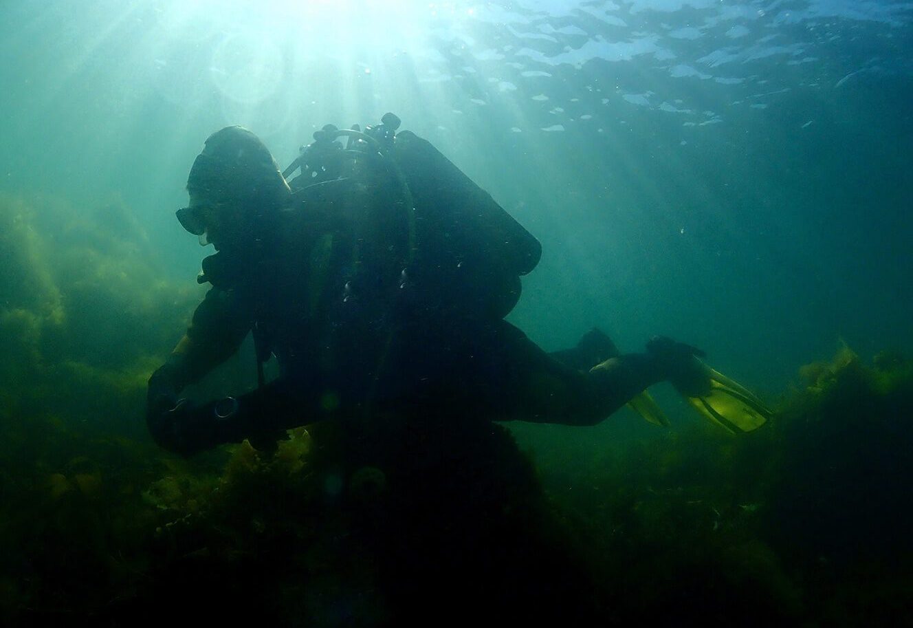 Dive NI